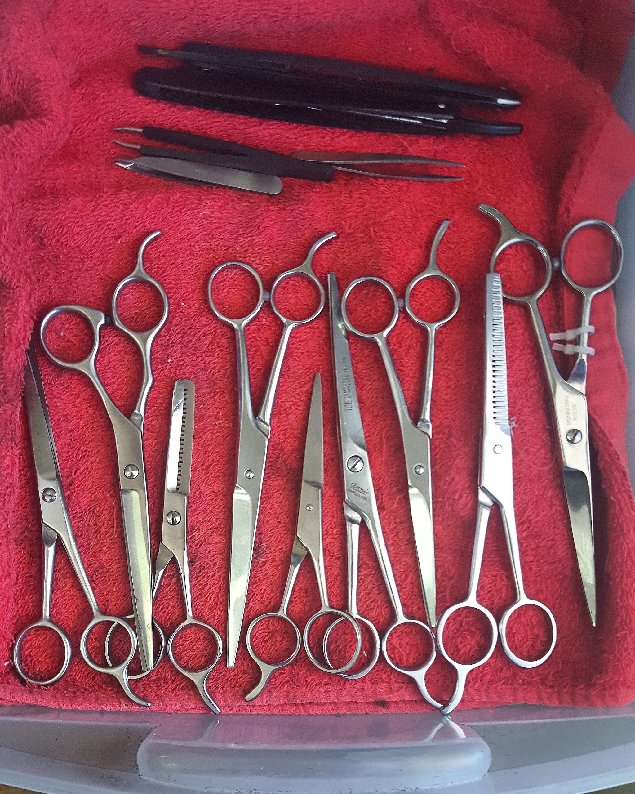 Our scissors and thinning shears laid out on a red towel